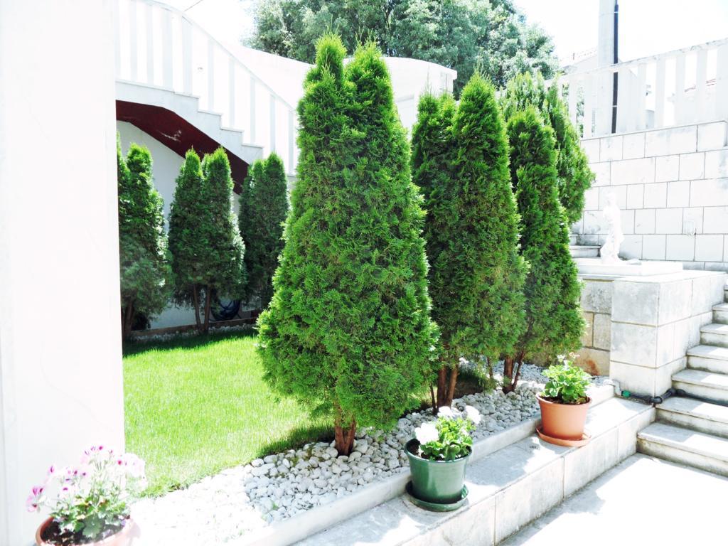 Adria Apartments And Rooms Dubrovnik Bagian luar foto